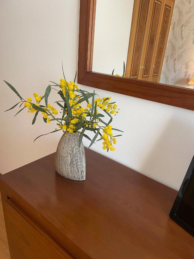 Villa 3 Irmaos 알보르 외부 사진